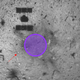 Right on target: The purple circle shows the intended target area, and the white dot indicated by the arrow is the bright marker placed on the surface prior to the extraction.
